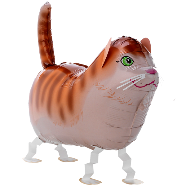 1 Balloon XXL - Pet Walker - Tommy The Cat
