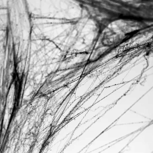 1 Halloween Spinnennetz - Schwarz für Fabric Streamers von Luftballon-Welt |