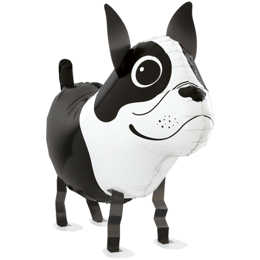 1 Balloon - Balloon Friends - Boston Terrier - Luftballon-Welt